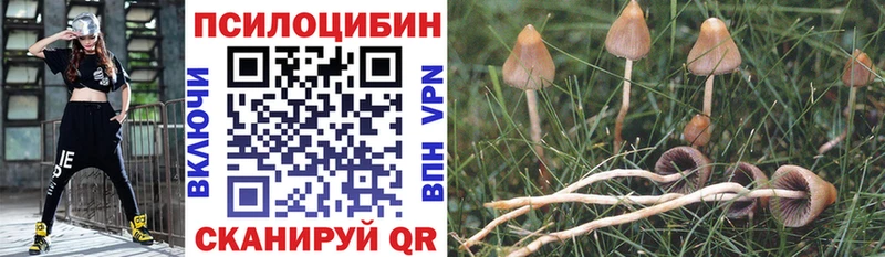 Галлюциногенные грибы GOLDEN TEACHER Кировск